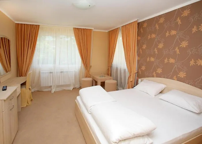 ホテル Family Diana ソフィア